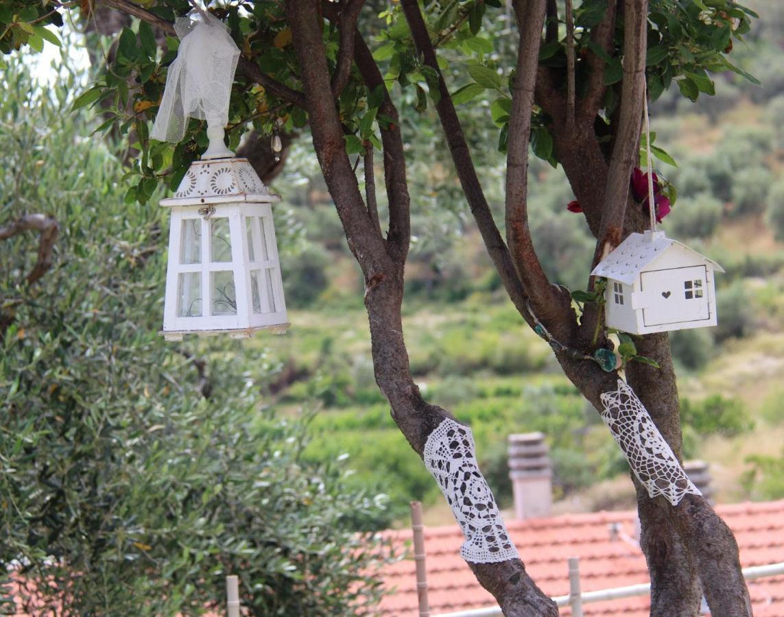 Il Sole Di Poggi Bed & Breakfast Imperia Eksteriør bilde