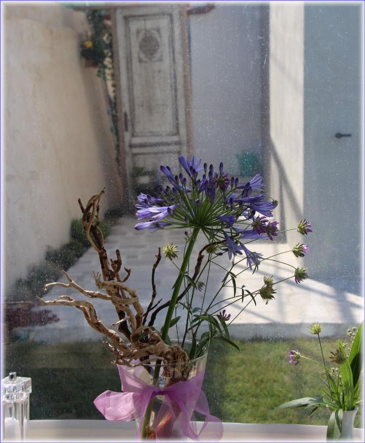 Il Sole Di Poggi Bed & Breakfast Imperia Eksteriør bilde