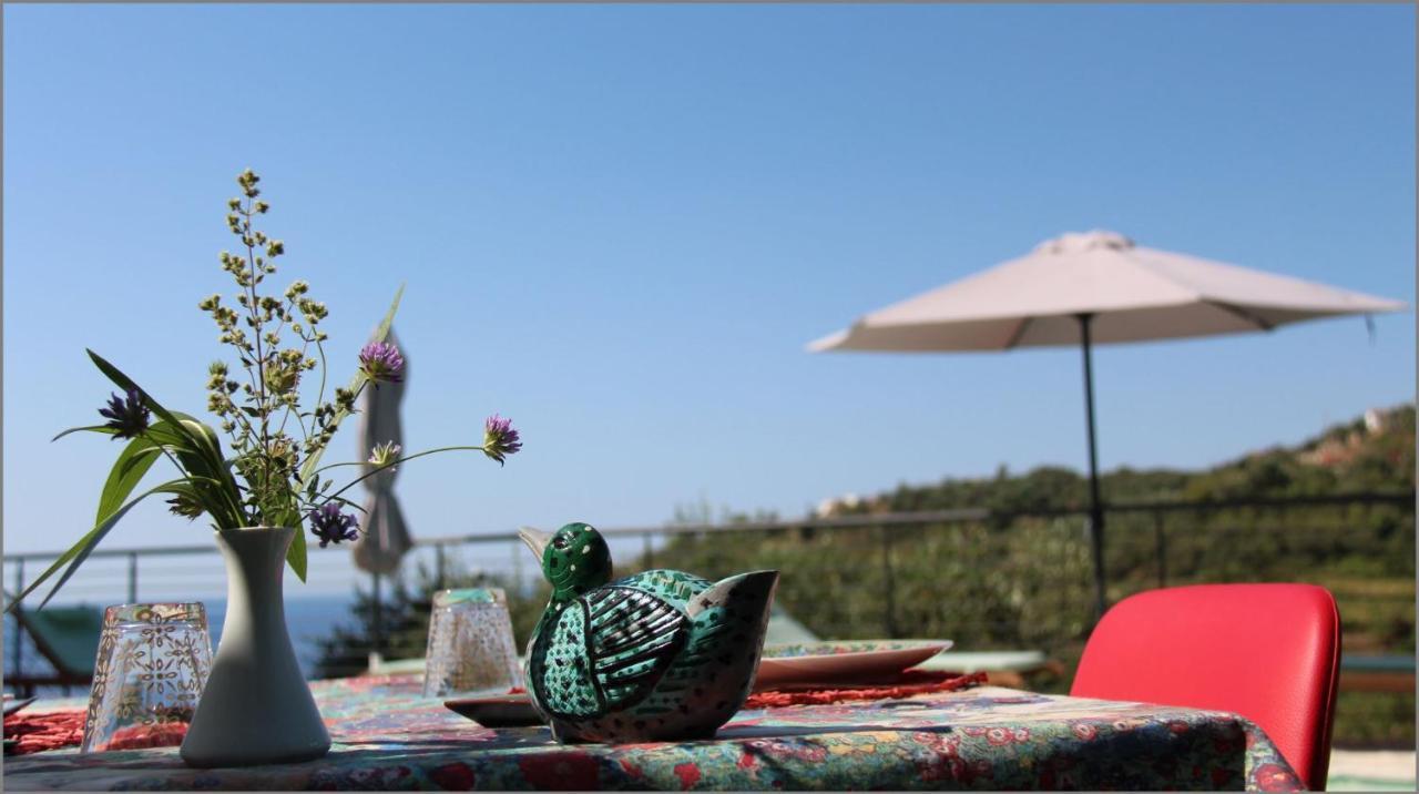 Il Sole Di Poggi Bed & Breakfast Imperia Eksteriør bilde